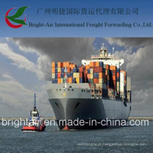 Shipper De Le Havre para Guangzhou, China